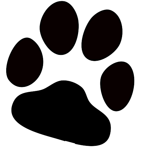 paw1